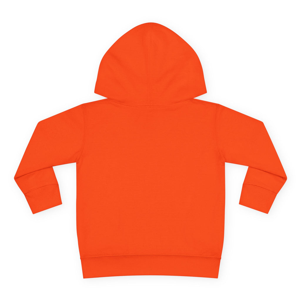 Phoenix Sparks - Little Phoenix Fleece Hoodie for Toddlers | Cozy Childrenswear, Gift for Kids, Fun Style, Cool Hoodie, Everyday Comfort
